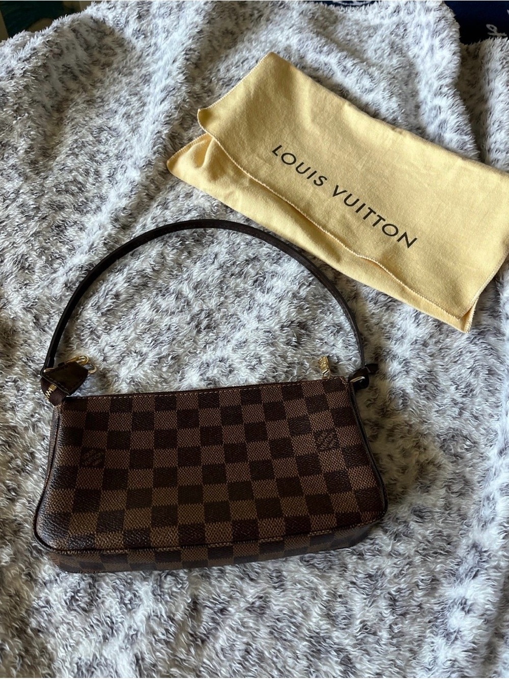 Louis Vuitton Damier Ebene Pochette accessories